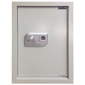 Holllon Wall Safes-WS-Bio-1